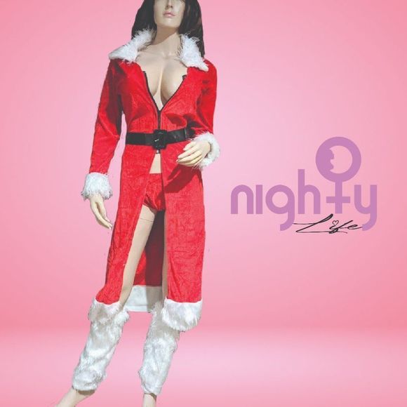 CLEARANCE . SLIGHTY DAMAGED Sexy Miss Claus Christmas Costume - Picture 1 of 5
